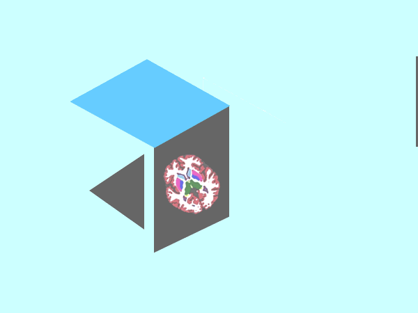 virtual neurology Consultation